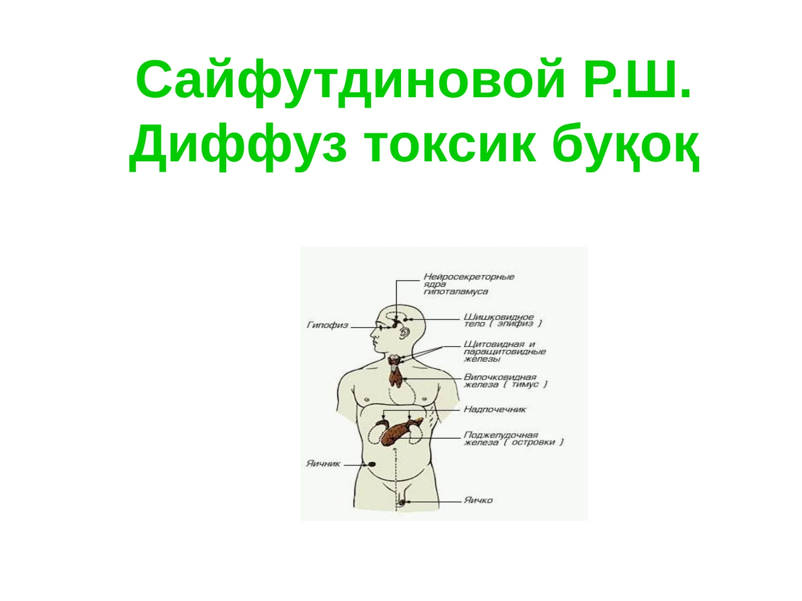 Диффуз токсик буқоқ