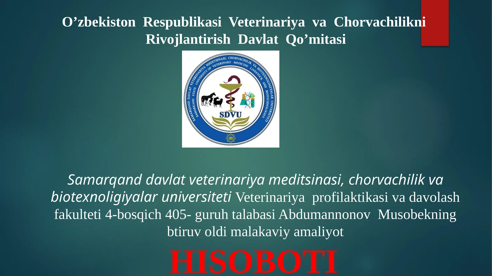 btiruv oldi malakaviy va amaliyot hisoboti