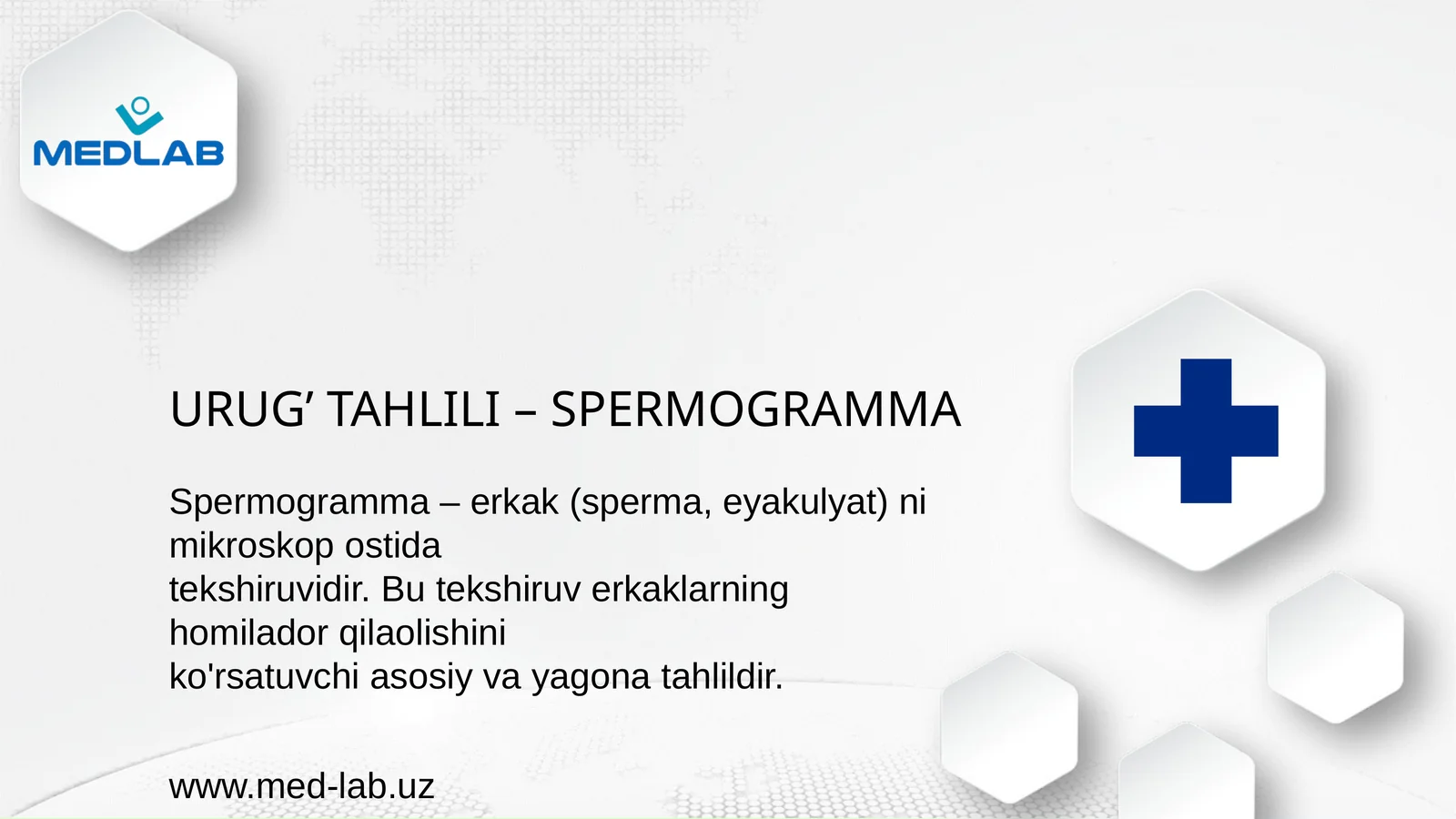 SPERMOGRAMMA