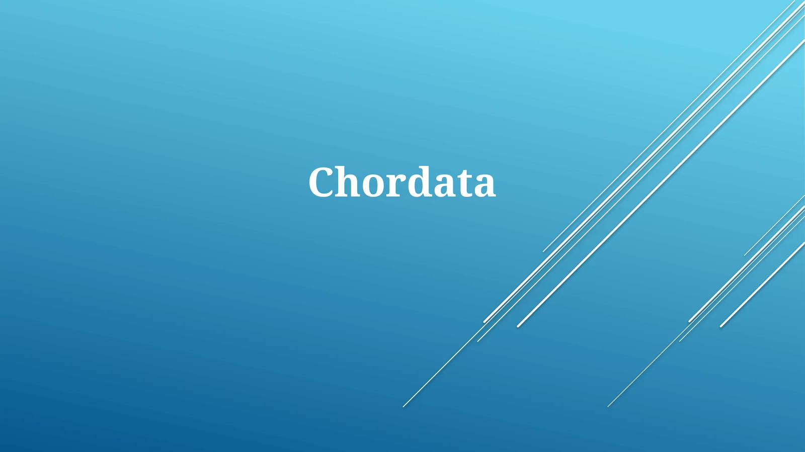 Chordata