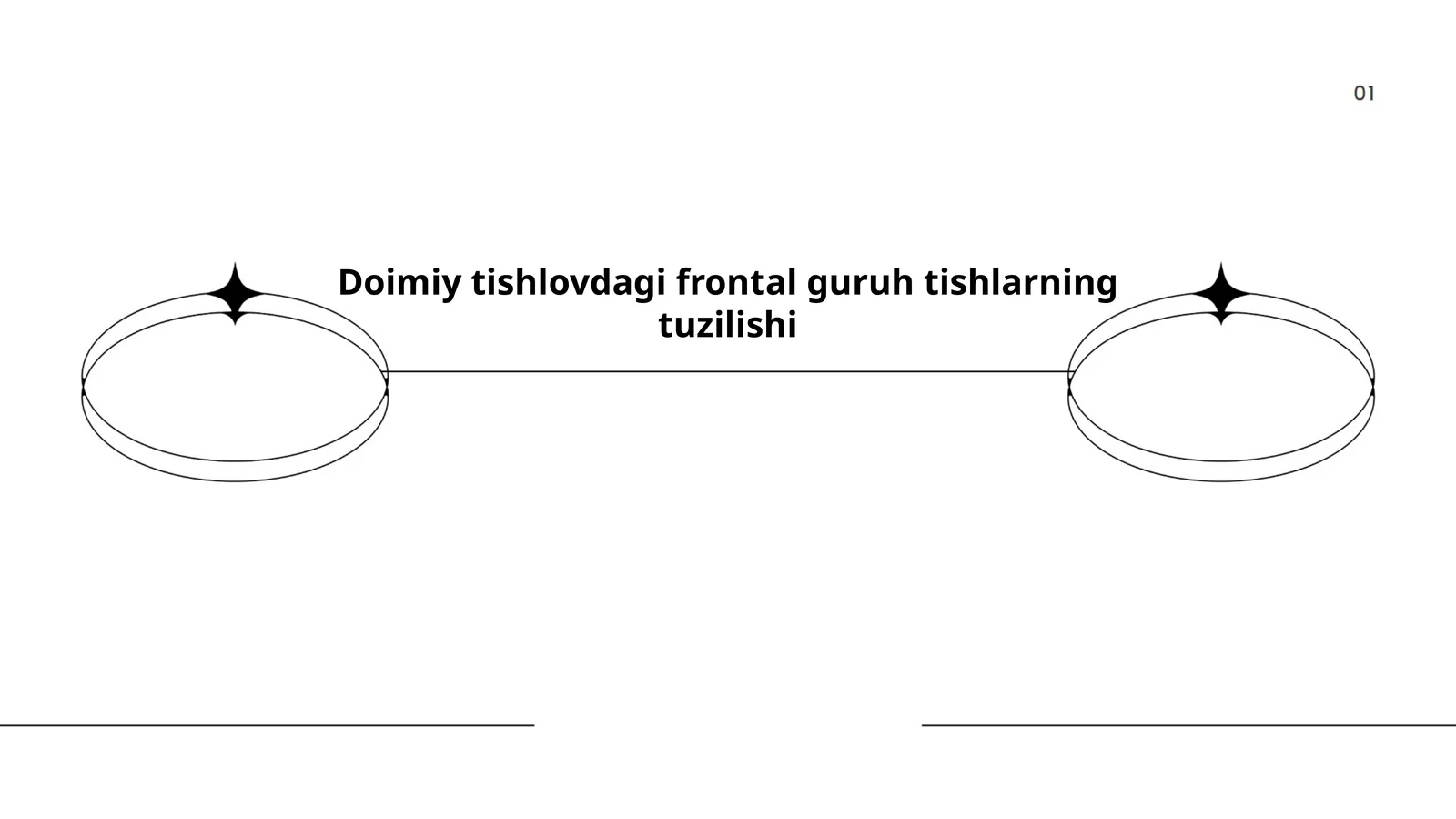 Frontal guruh tishlarining anatomiyasi