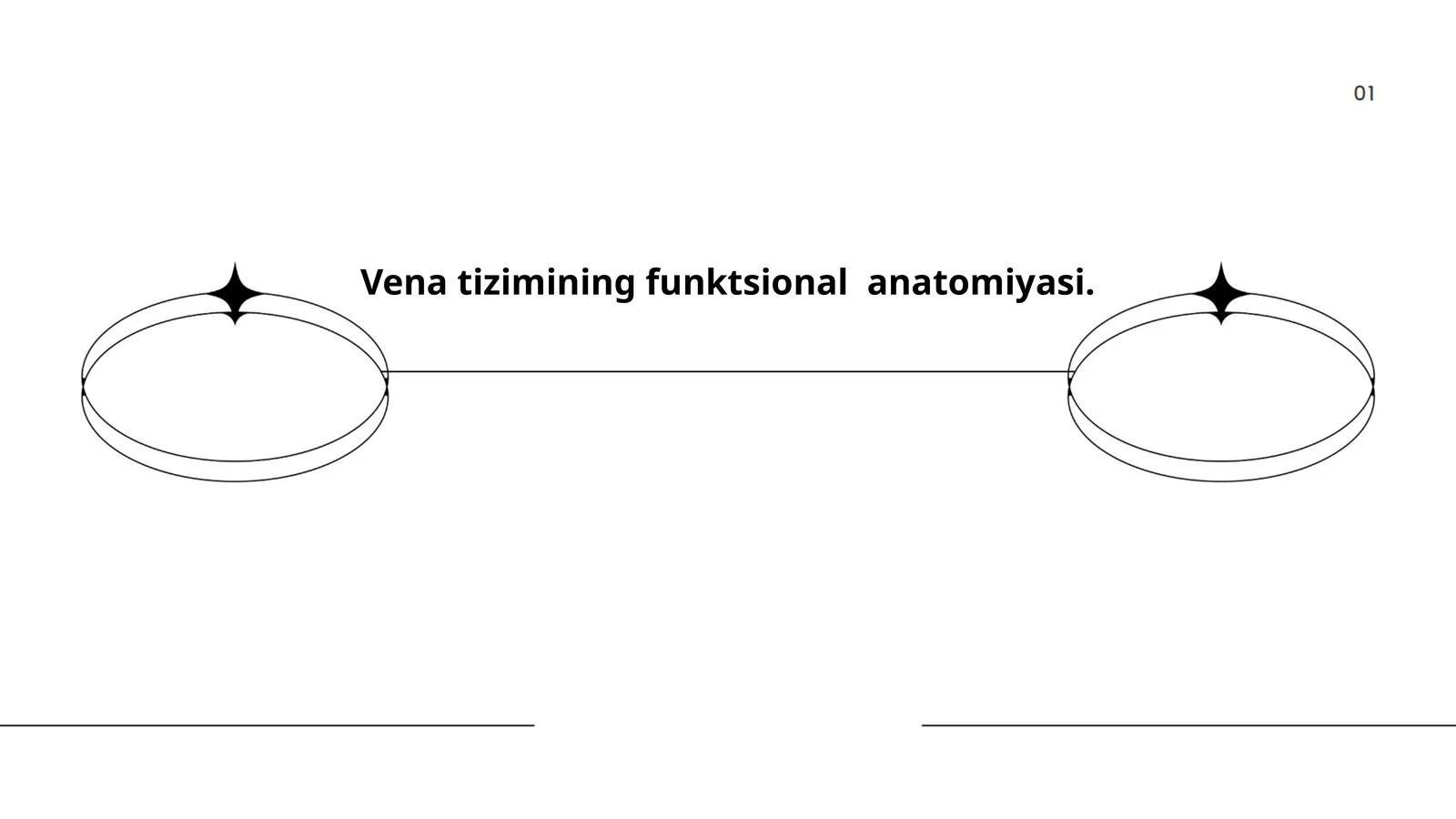 Vena tizimining funktsional anatomiyasi