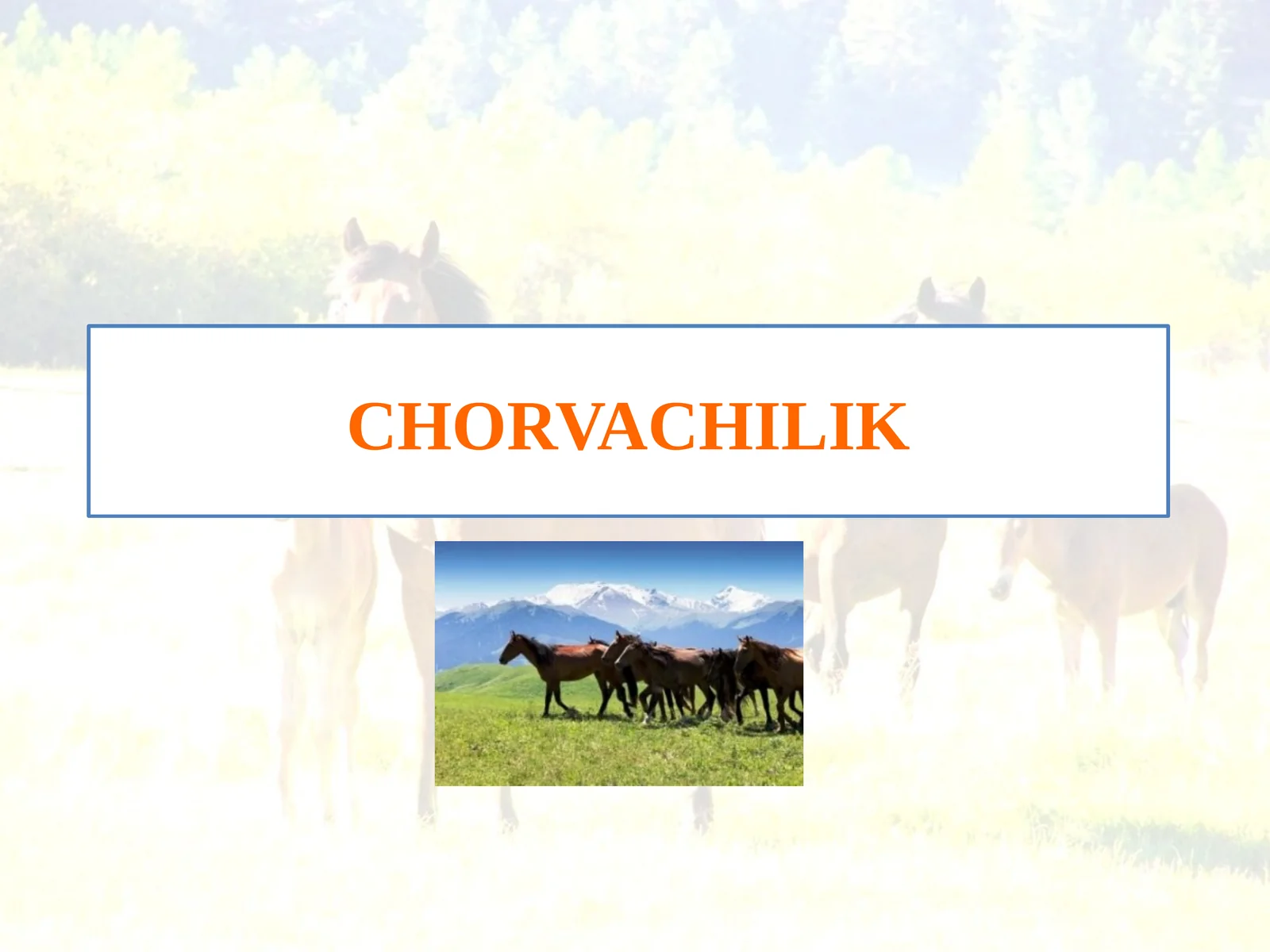 CHORVACHILIK