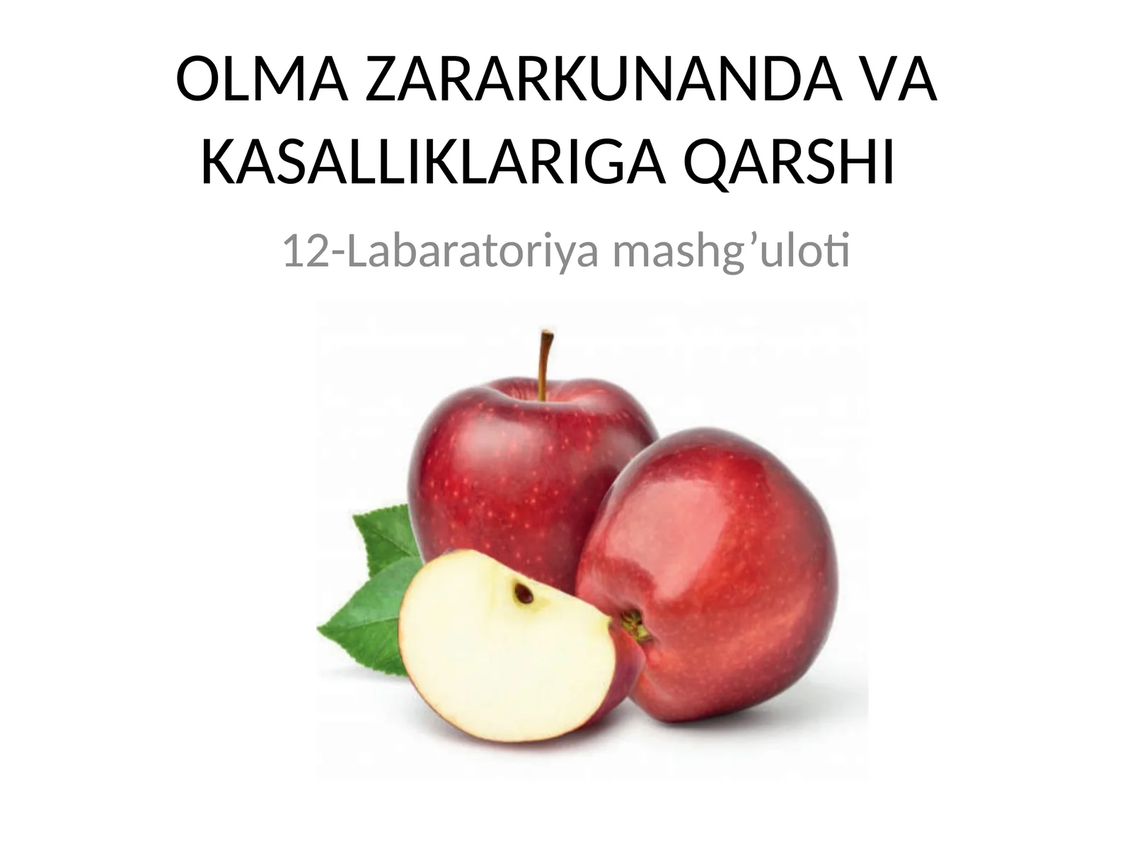 Olmaqurti