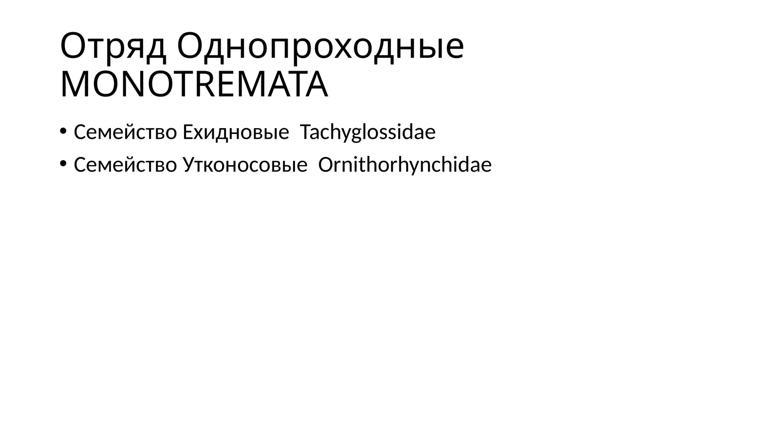 Однопроходные MONOTREMATA