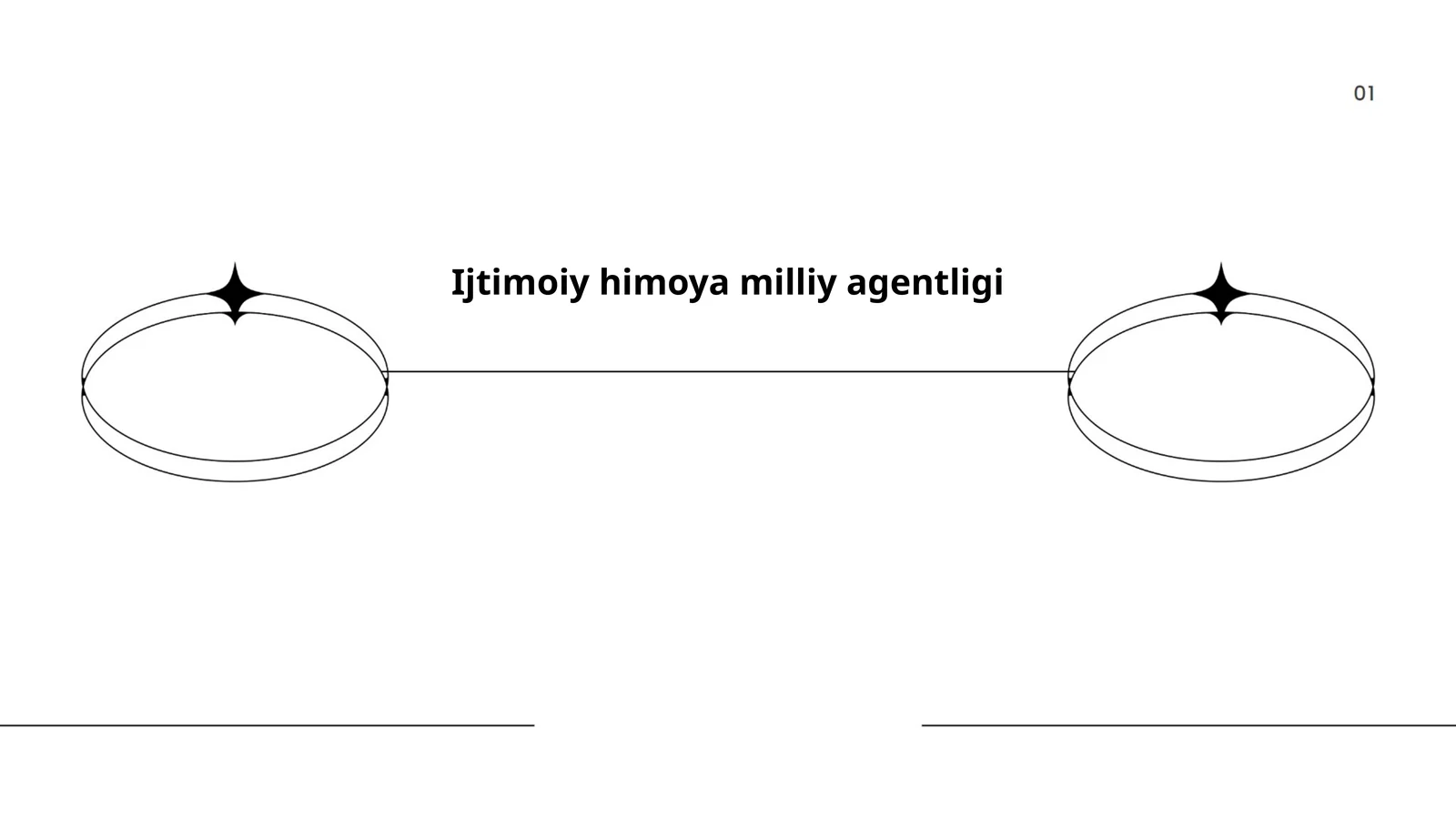 Ijtimoiy himoya milliy agentligi
