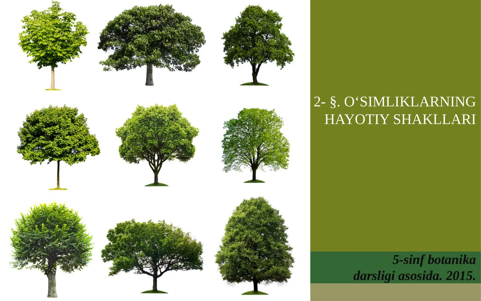 5-sinf Botanika O'simliklarning hayotiy shakllari