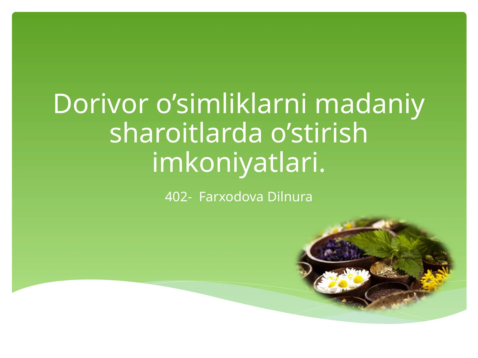 Dorivoro’simliklarni madaniy sharoitlarda o’stirish imkoniyatlari