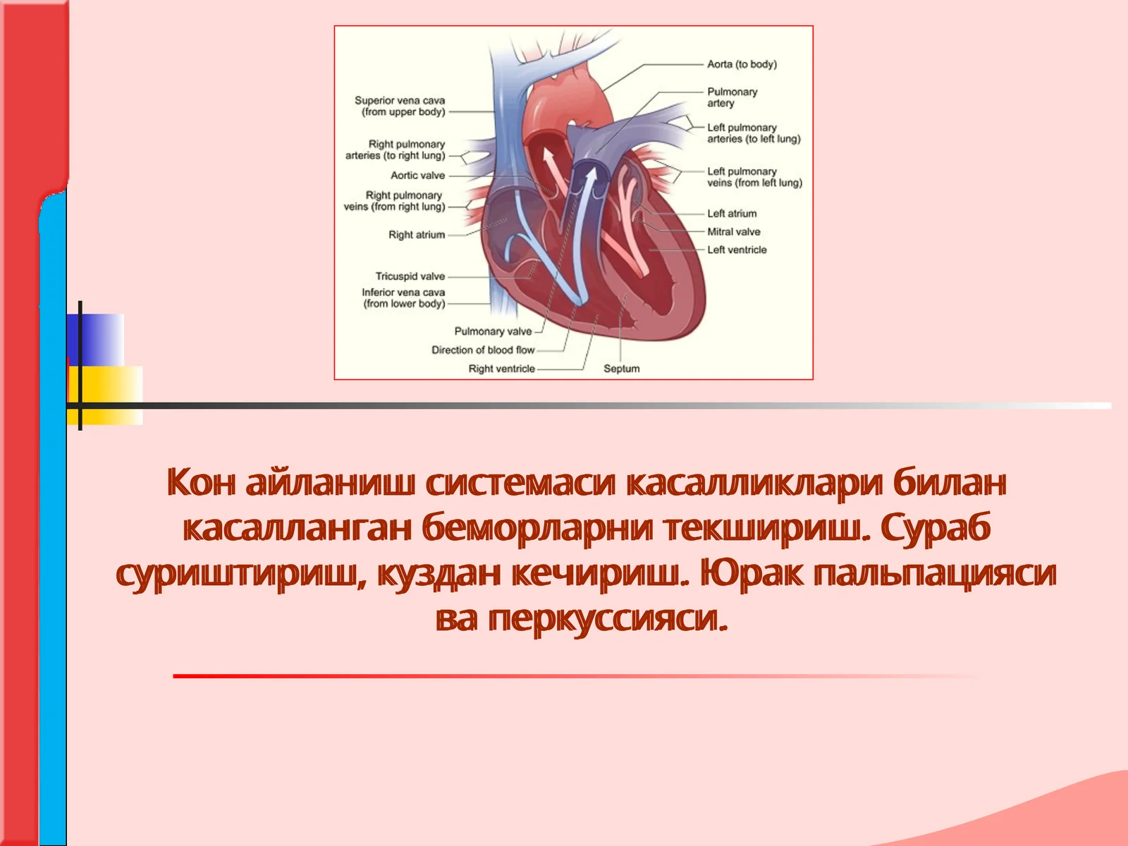 Кон айланиш системаси касалликлари билан касалланган беморларни текшириш