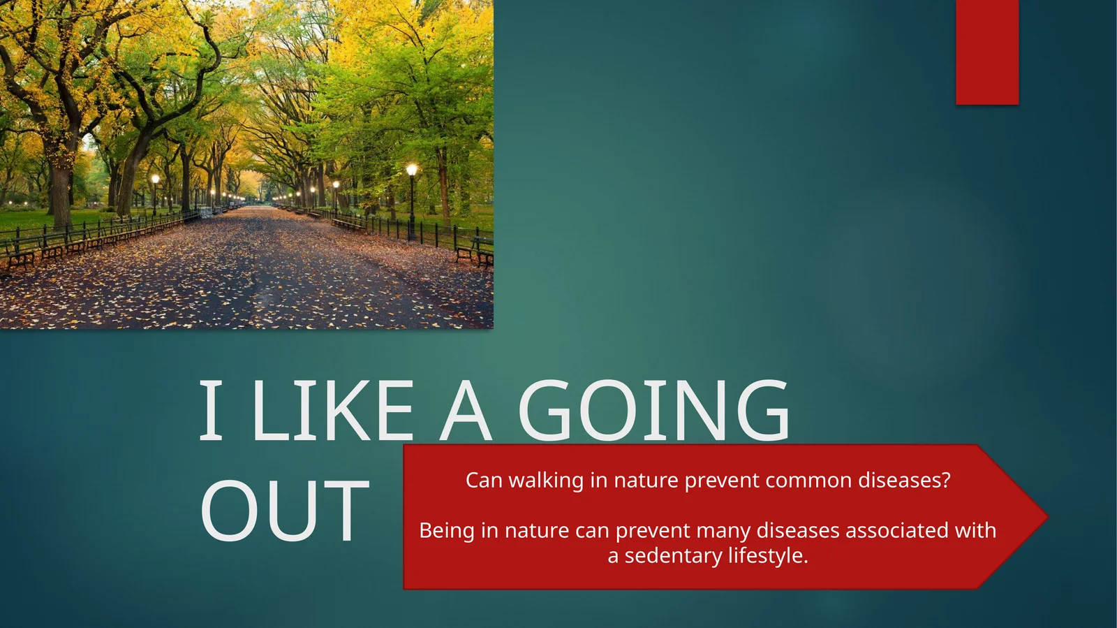 Can walking in nature prevent common diseases?