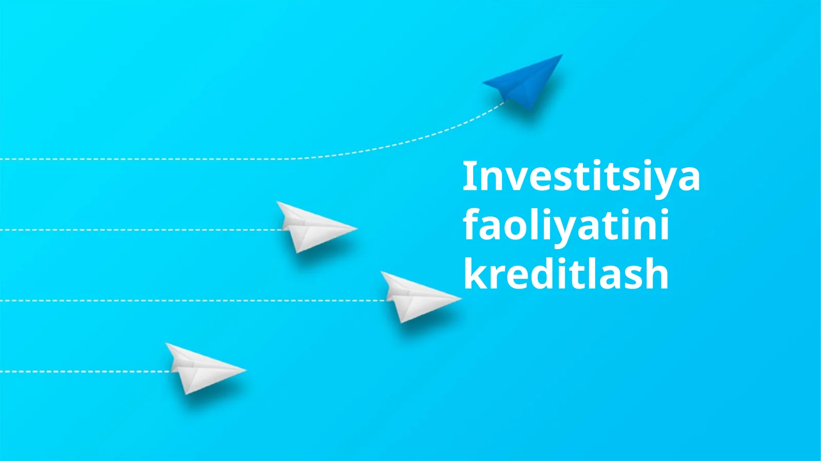 Investitsiya faoliyatini kreditlash