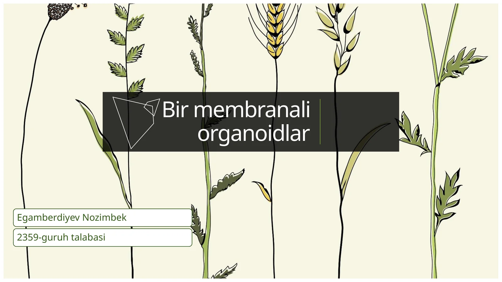 Bir membranali organoidlar
