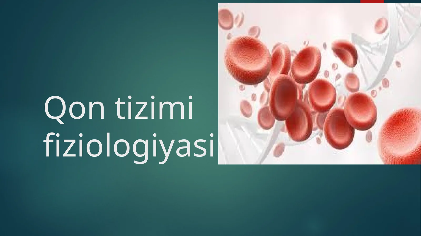 Qontizimifiziologiyasi