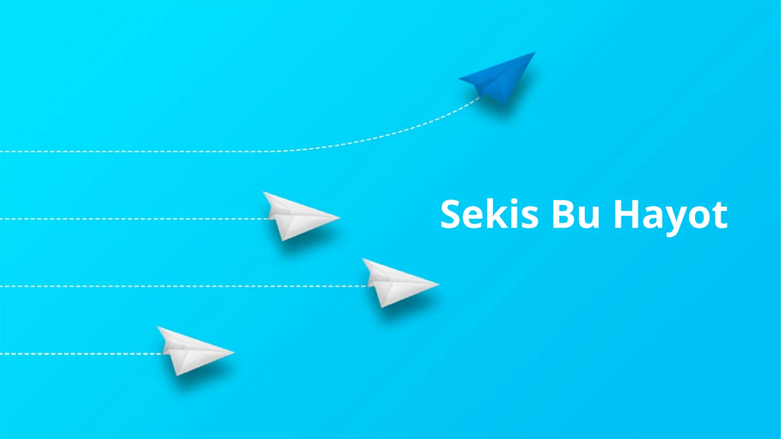 Sekis Bu Hayot