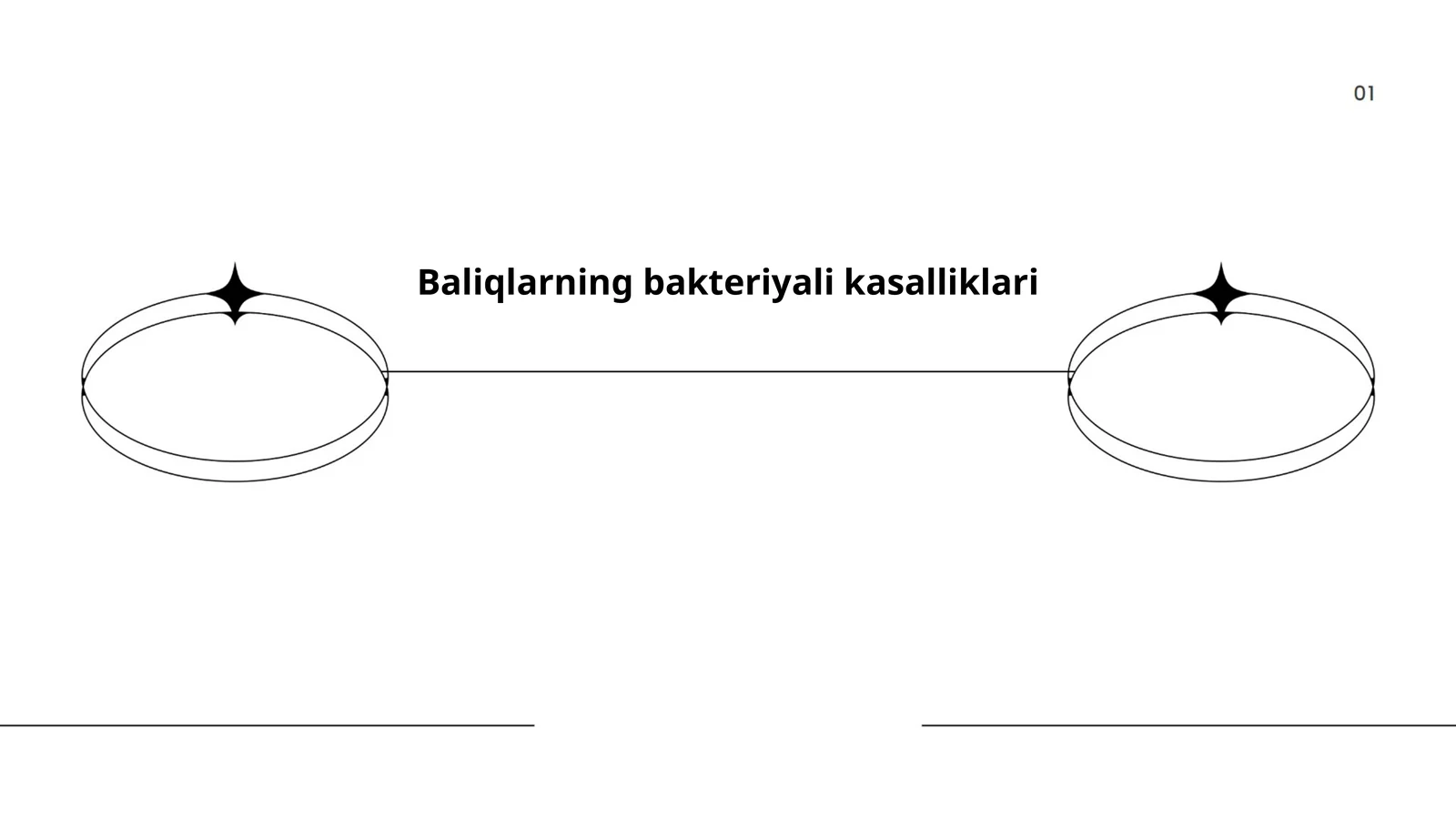 Baliqlarning bakteriyali kasalliklari