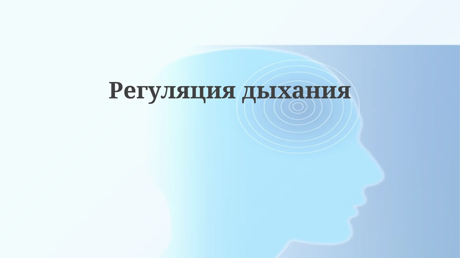 Регуляция дыхания