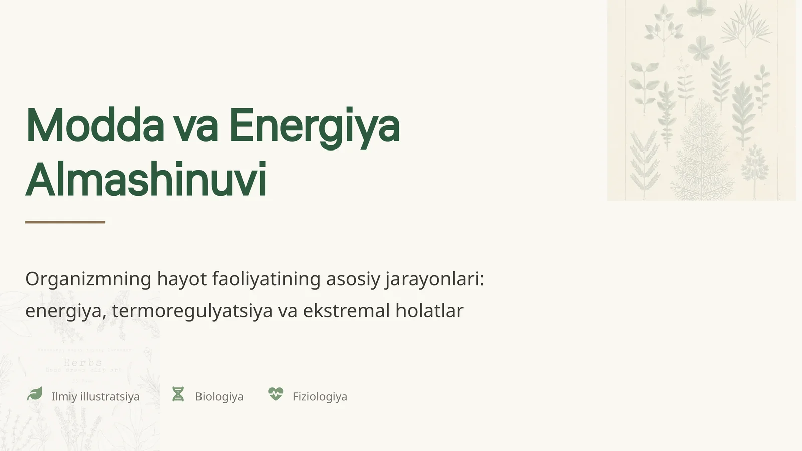 Modda va Energiya