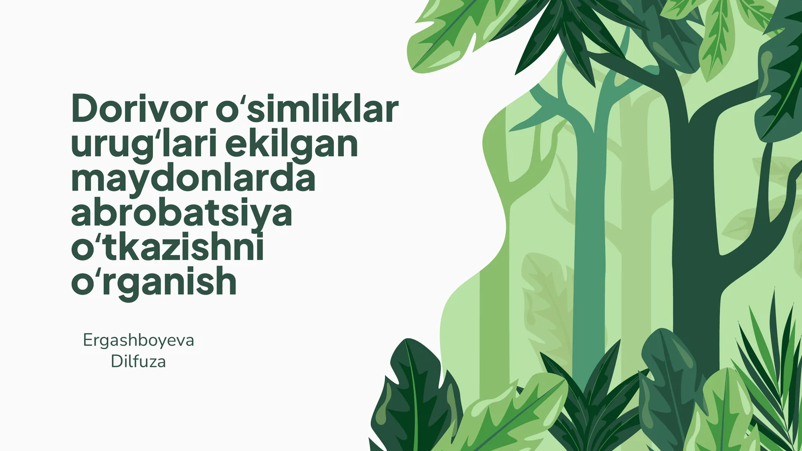Dorivor oʻsimliklar urugʻlari ekilgan maydonlarda abrobatsiya oʻtkazishni oʻrganish