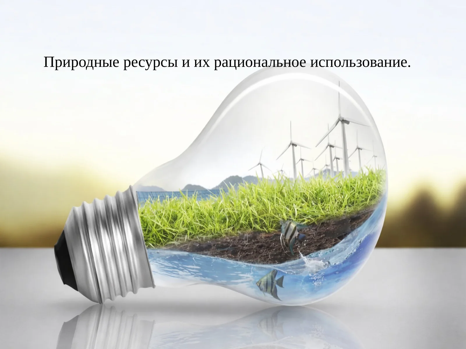 Природные ресурсы и их рациональное использование
