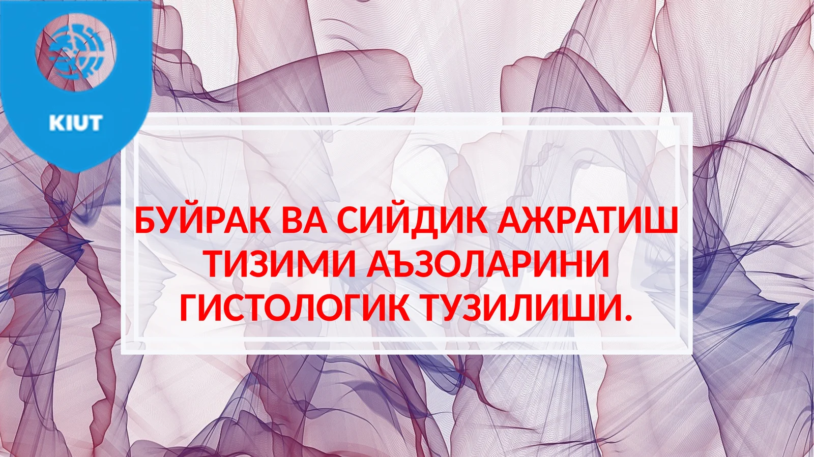 БУЙРАК ВА СИЙДИК АЖРАТИШ ТИЗИМИ АЪЗОЛАРИНИ ГИСТОЛОГИК ТУЗИЛИШИ