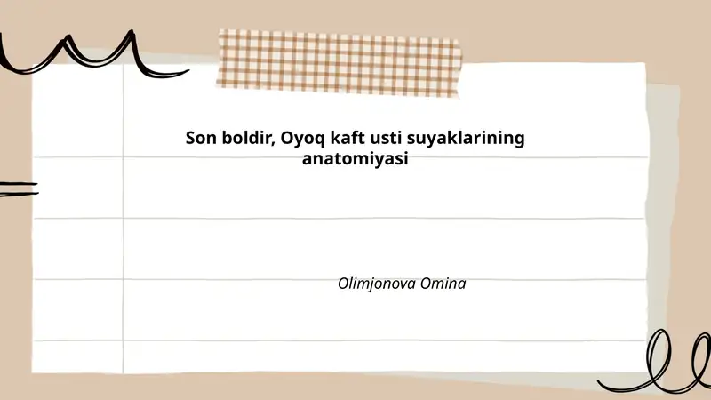 Son boldir, Oyoq kaft usti suyaklarining anatomiyasi