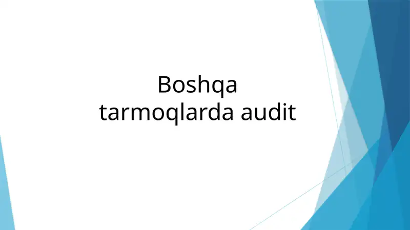 Boshqa tarmoqlarda audit