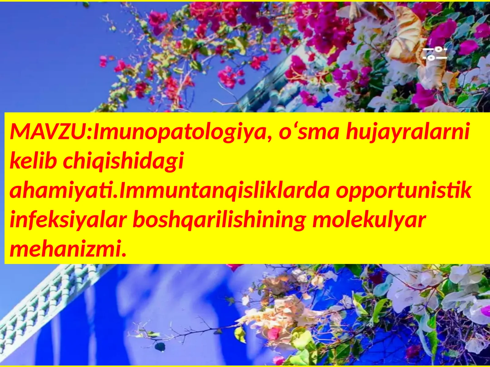 Imunopatologiya,o‘smahujayralarnikelibchiqishidagiahamiyati.Immuntanqisliklardaopportunistikinfeksiyalarboshqarilishiningmolekulyarmehanizmi