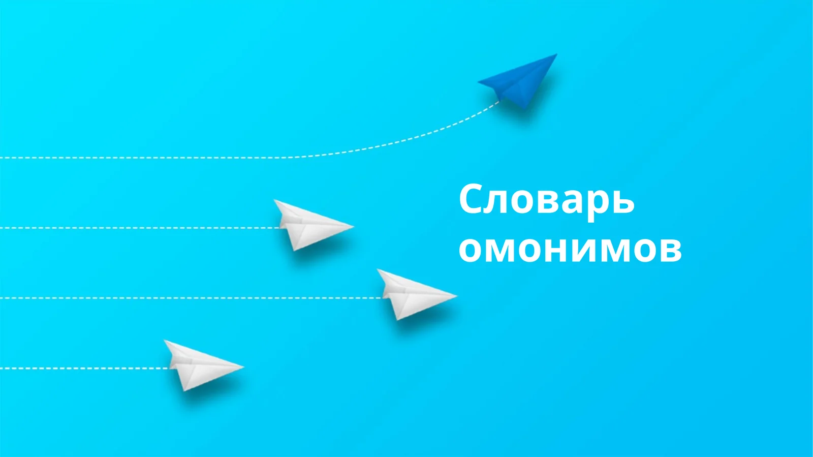 Словарь омонимов