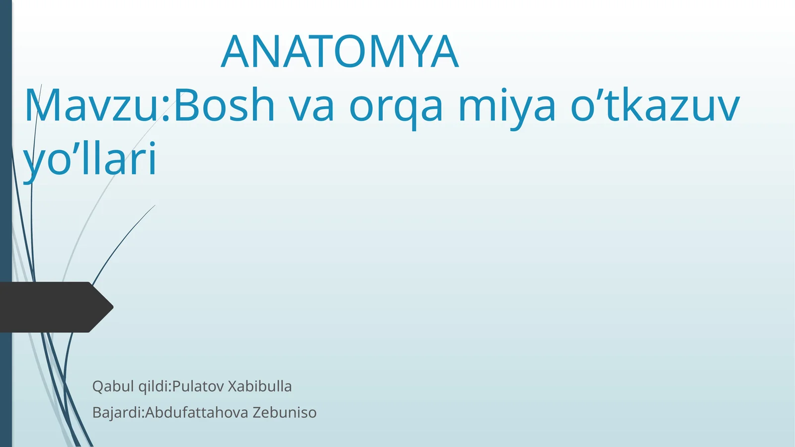 Bosh va orqa miya o‘tkazuv yo‘llari