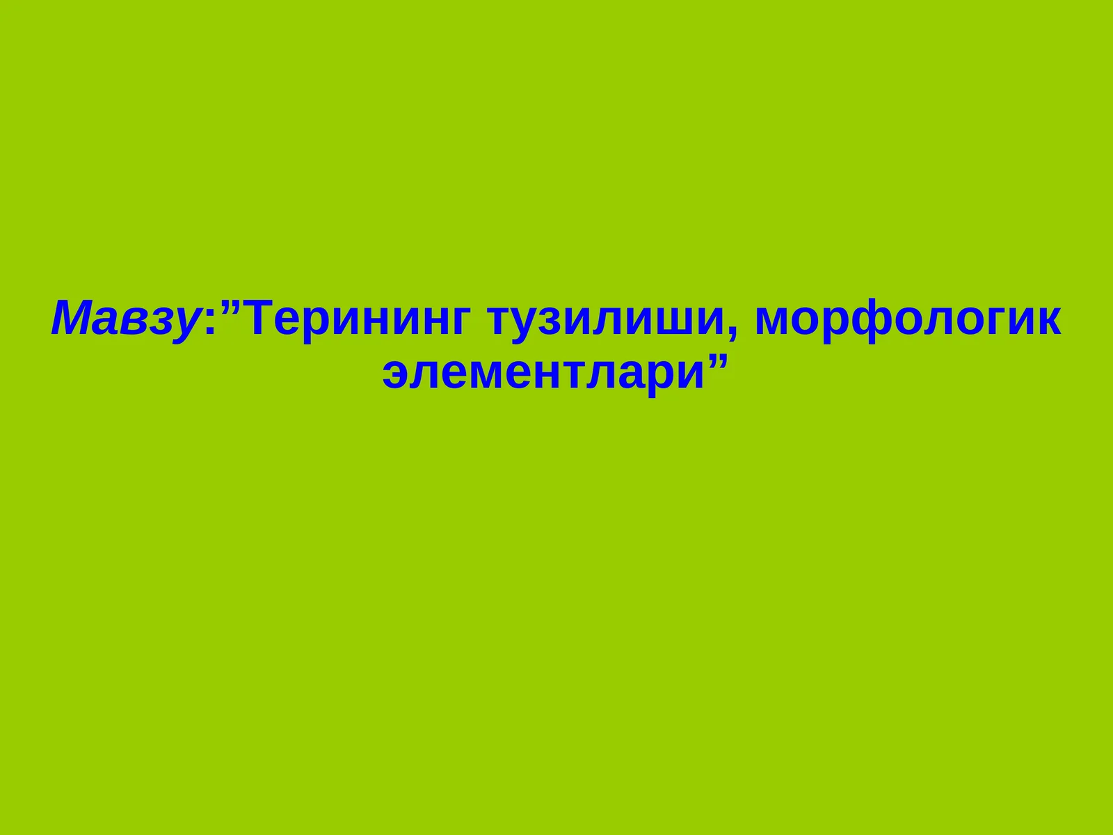 Терининг тузилиши, морфологик элементлари