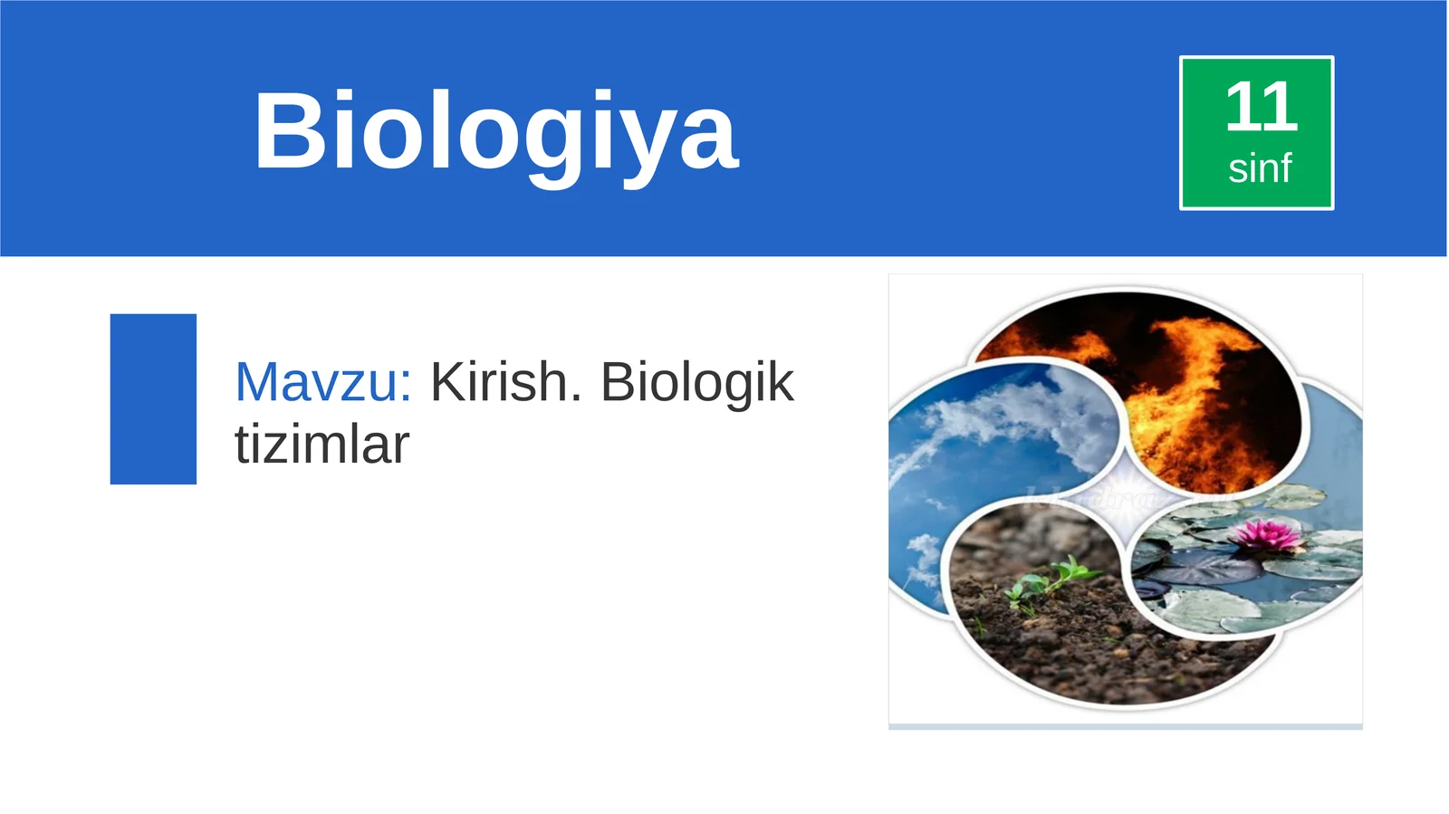 Kirish.Biologiktizimlar