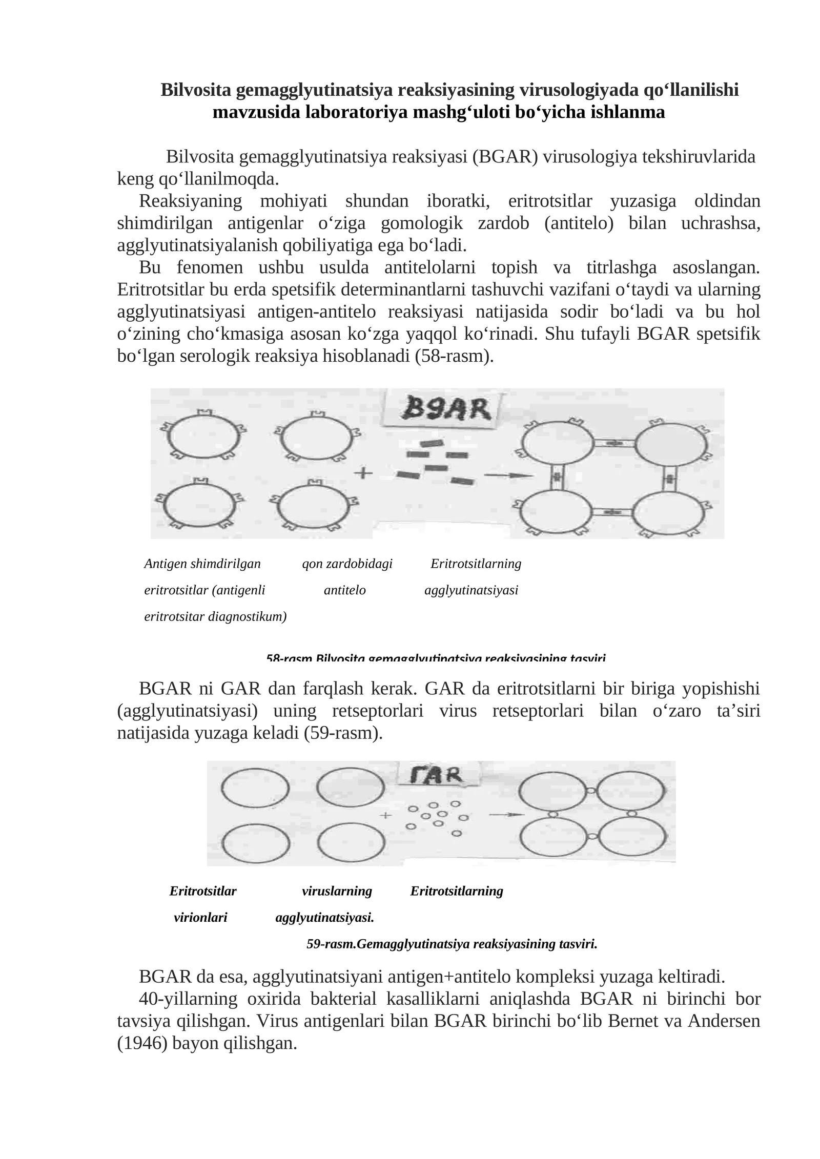 Bilvosita gemagglyutinatsiya reaksiyasi laboratoriya mashg'uloti