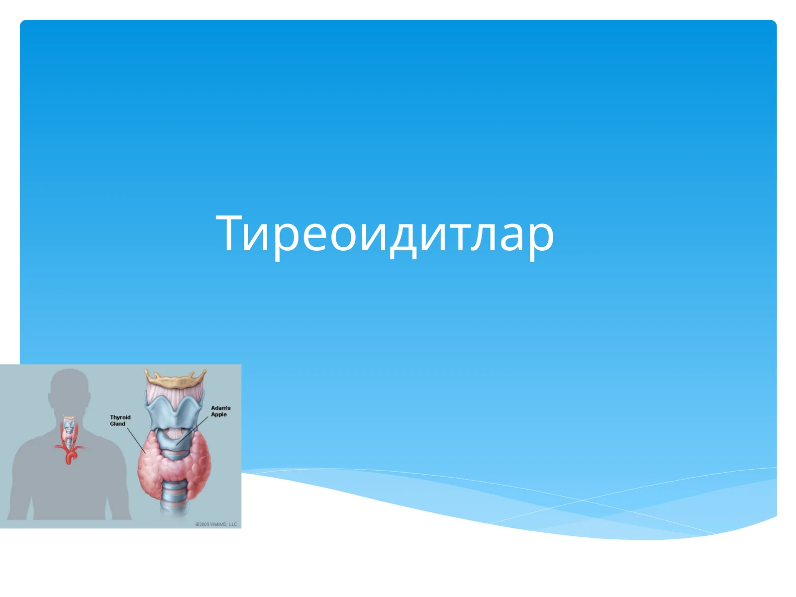 Тиреоидитлар