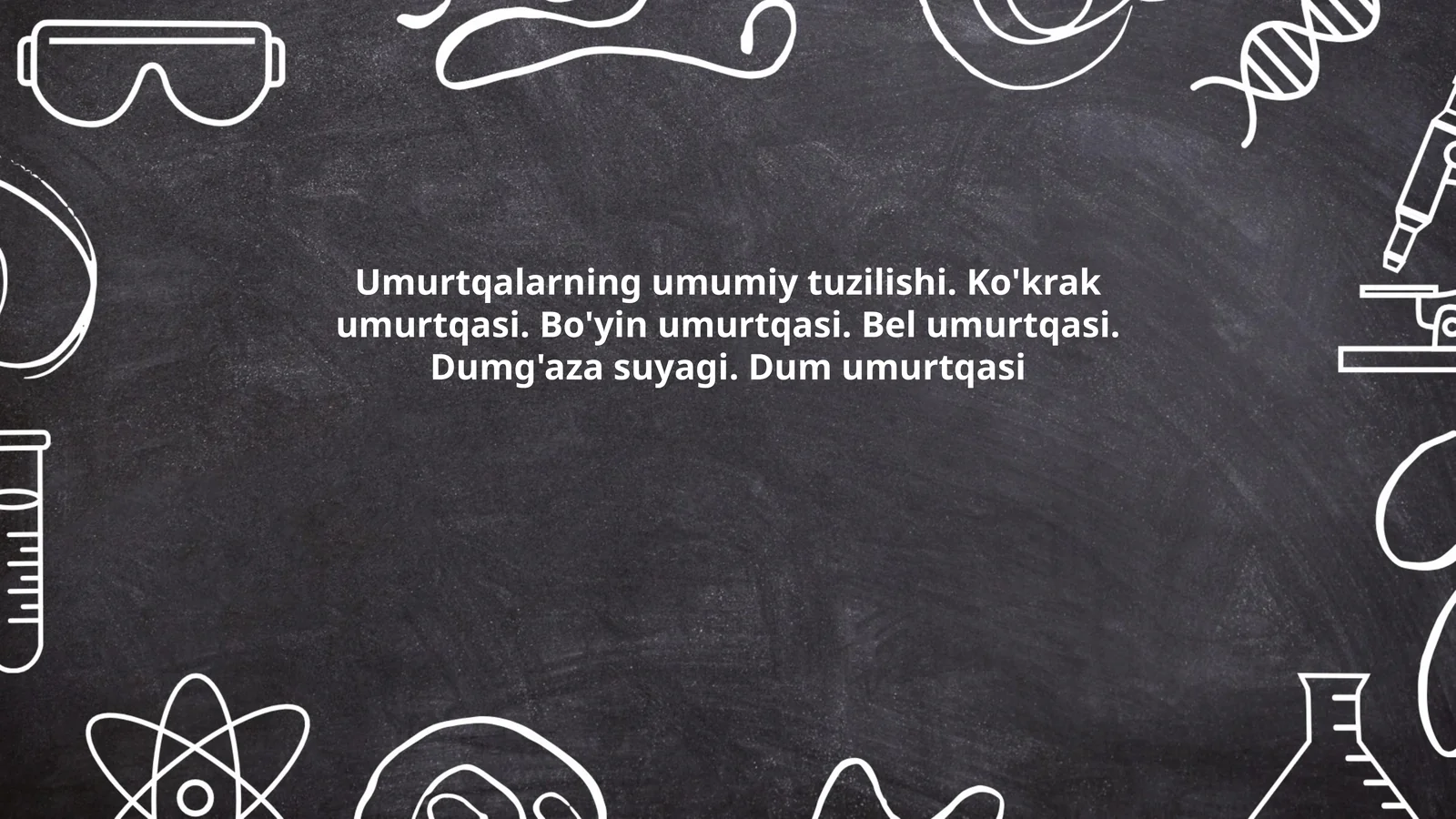 Umurtqalarning umumiy tuzilishi. Ko'krak umurtqasi. Bo'yin umurtqasi. Bel umurtqasi. Dumg'aza suyagi. Dum umurtqasi
