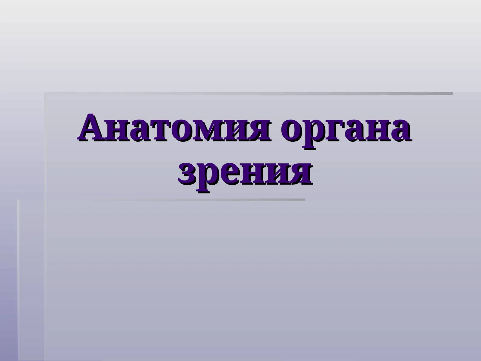 Анатомия органа зрения