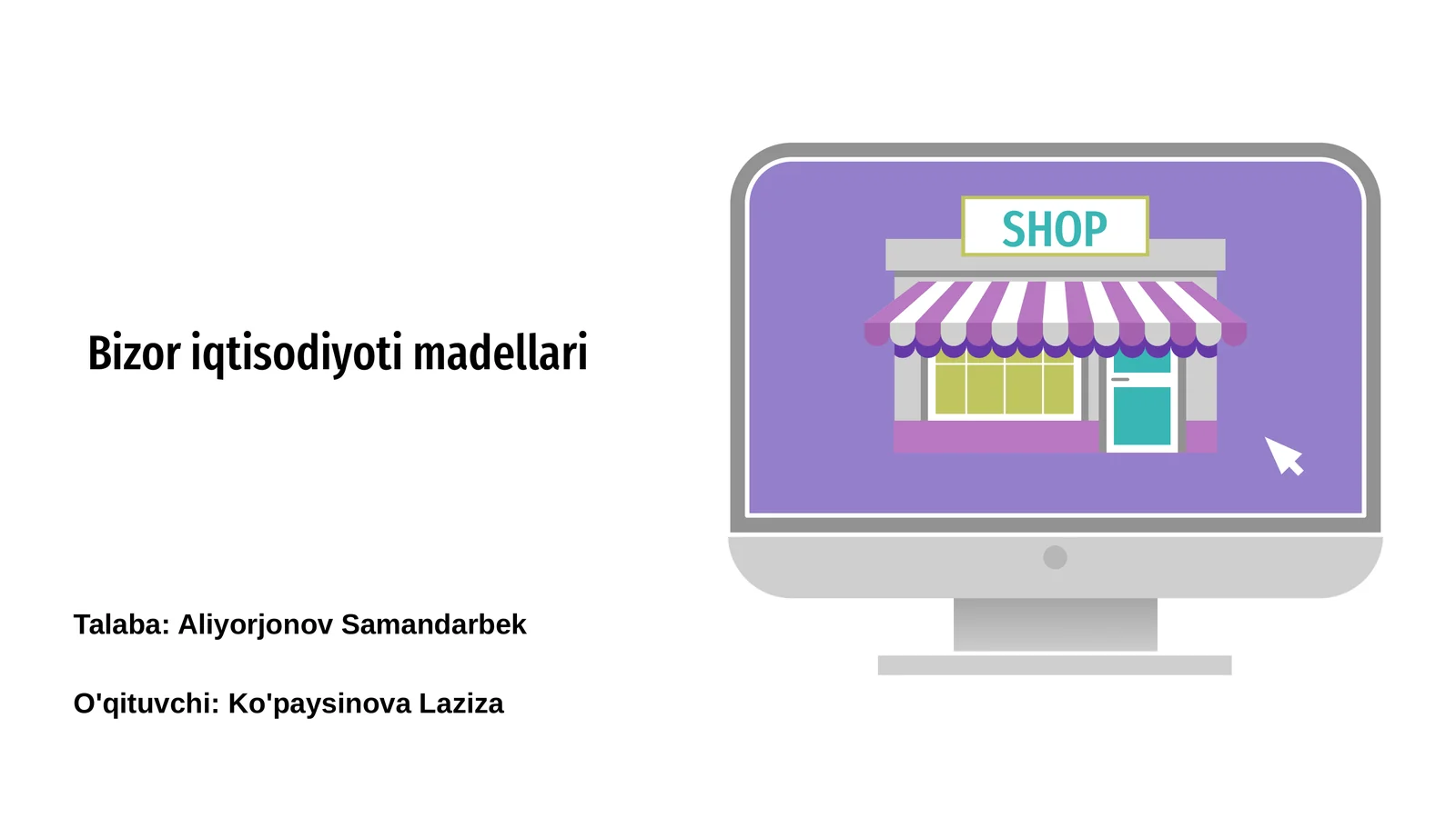 Bizor iqtisodiyoti madellari