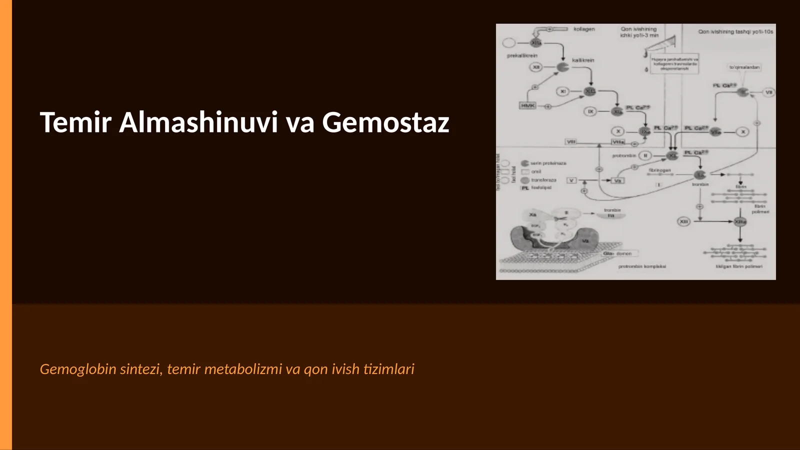 Temir Almashinuvi va Gemostaz