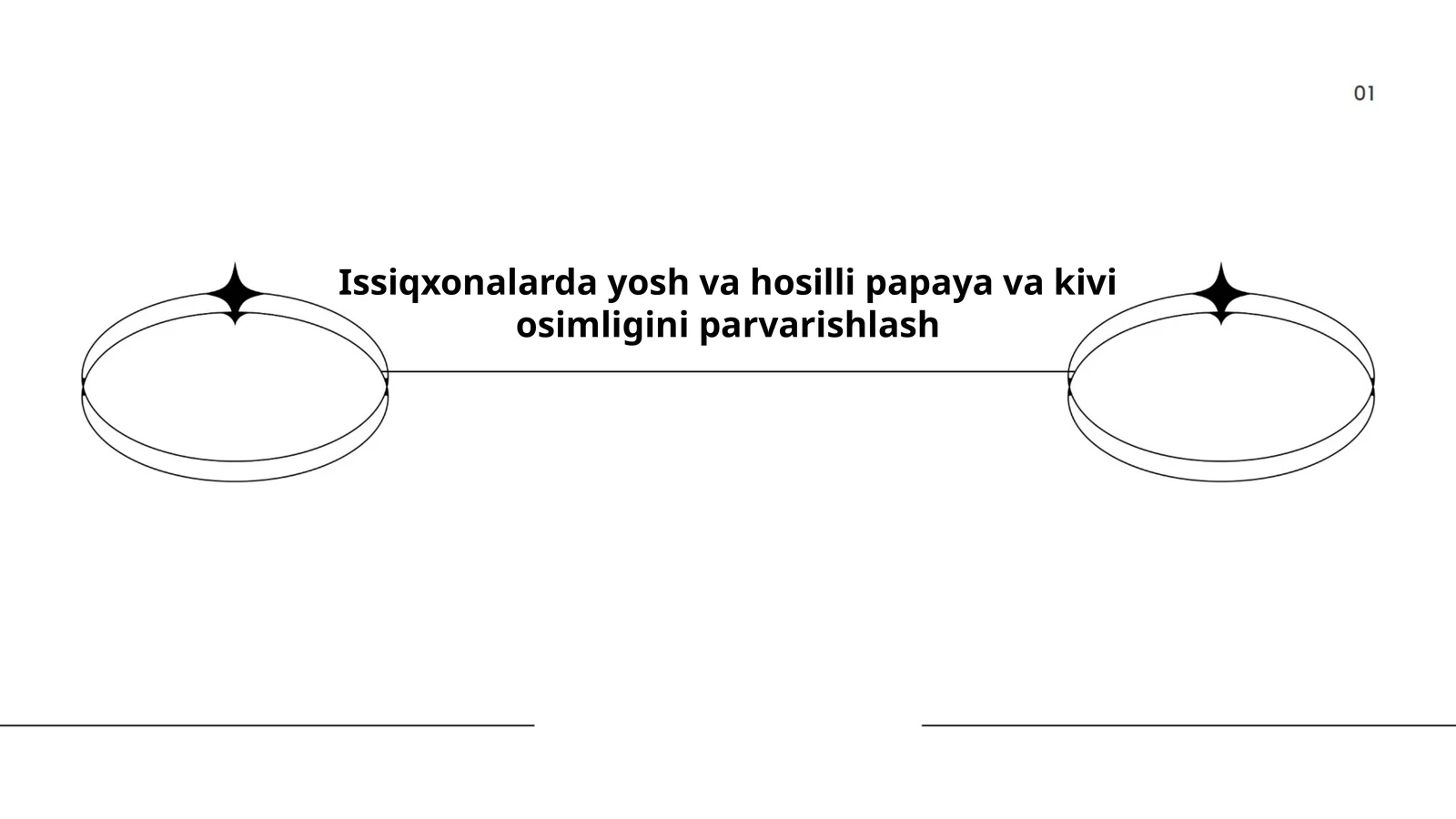 Issiqxonalarda yosh va hosilli papaya va kivi osimligini parvarishlash