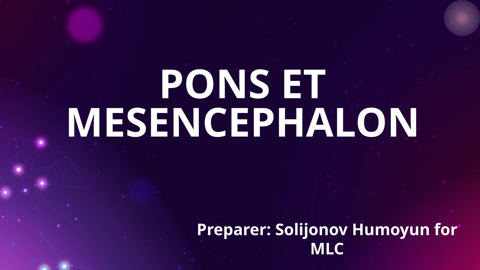 PONS ET MESENCEPHALON