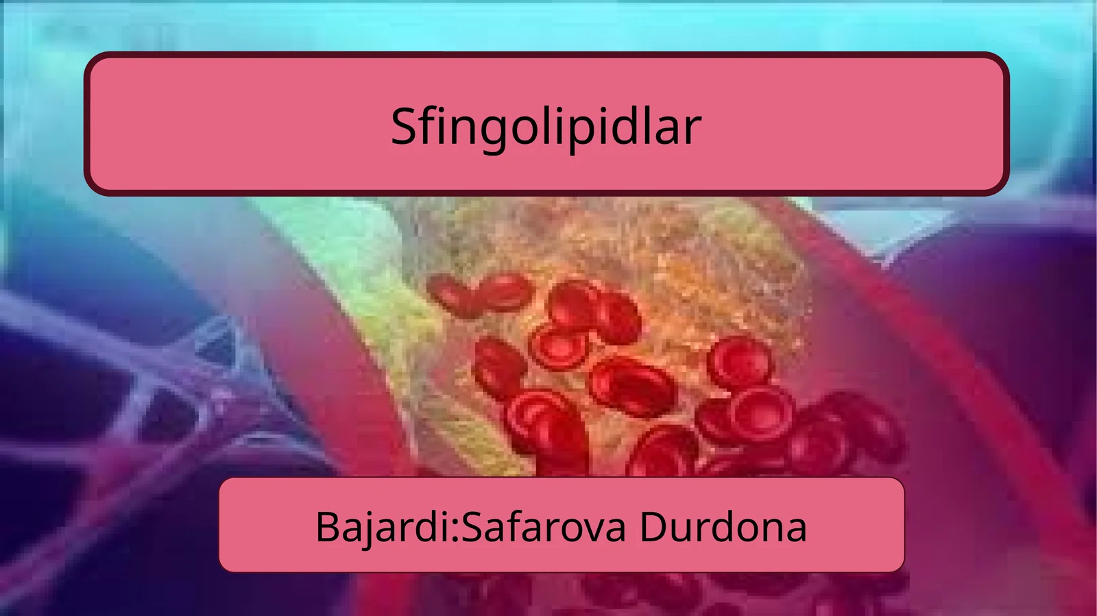 Sfingolipidlar