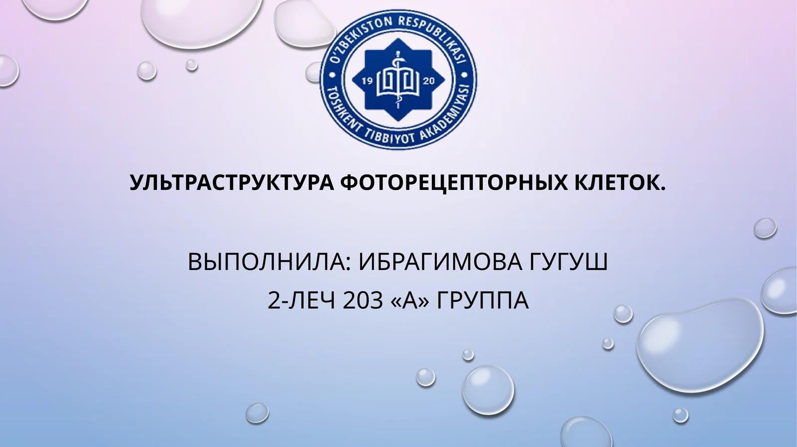 Ультраструктура фоторецепторных клеток