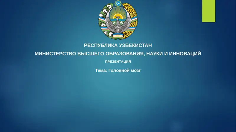 Головной мозг