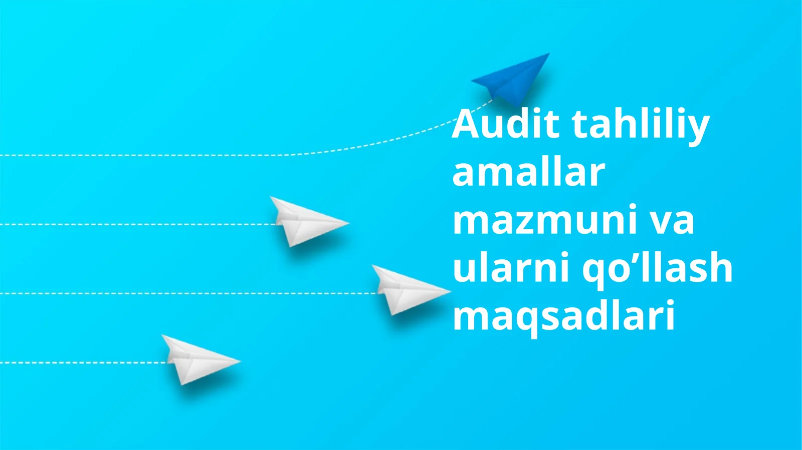 Audit tahliliy amallar mazmuni va ularni qo’llash maqsadlari