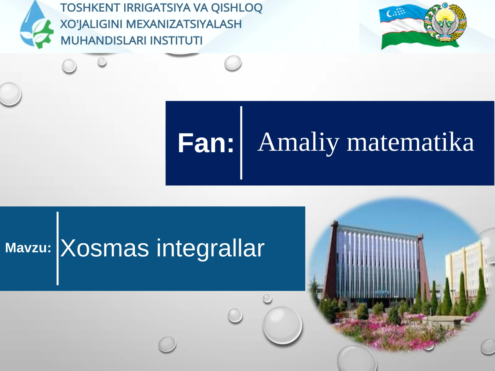 Xosmas integrallar