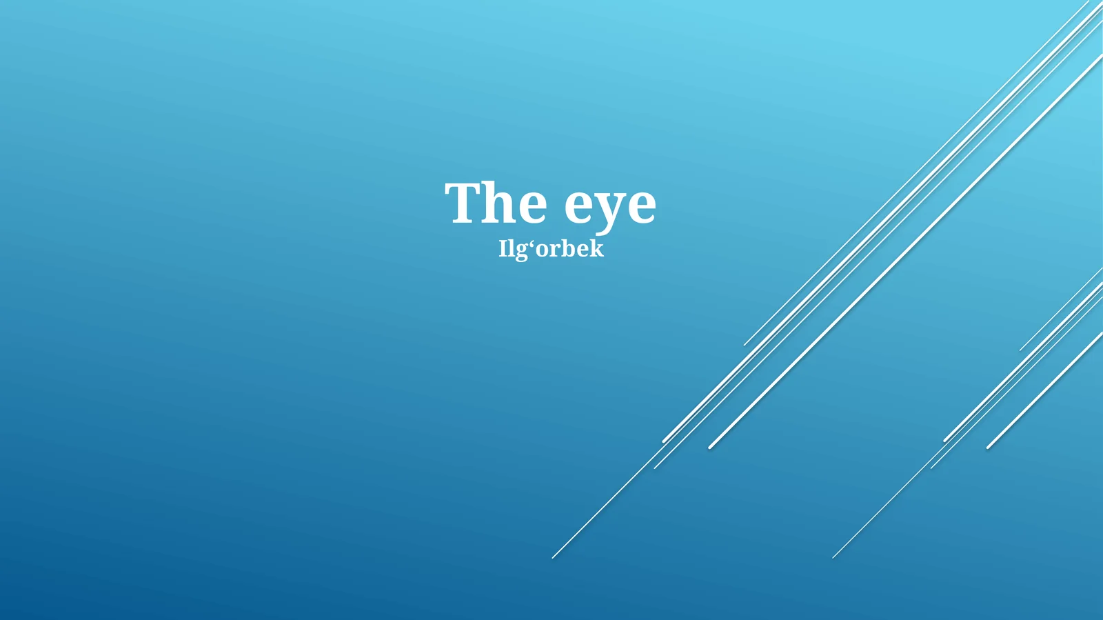 The eye