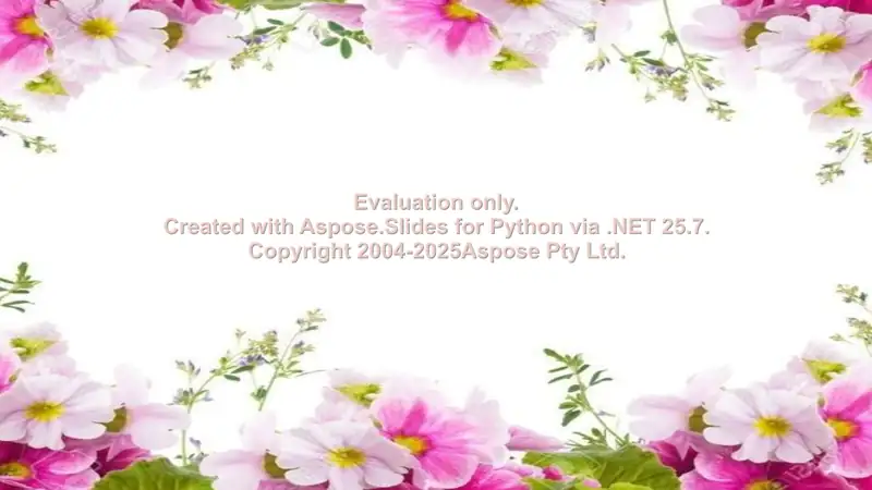 Raqamli muloqot: Xat yozishdan taqdimotgacha