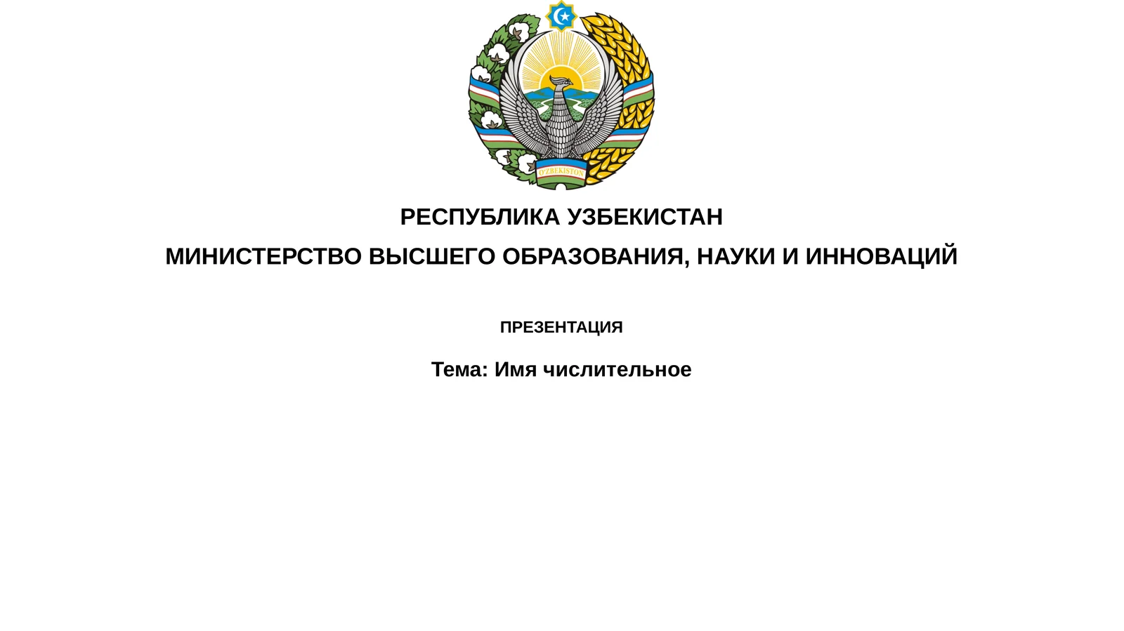 Презентация "Тема:Имячислительное"