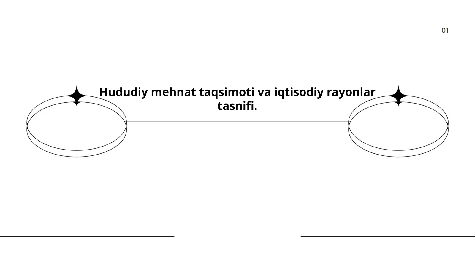 Hududiy mehnat taqsimoti va iqtisodiy rayonlar tasnifi