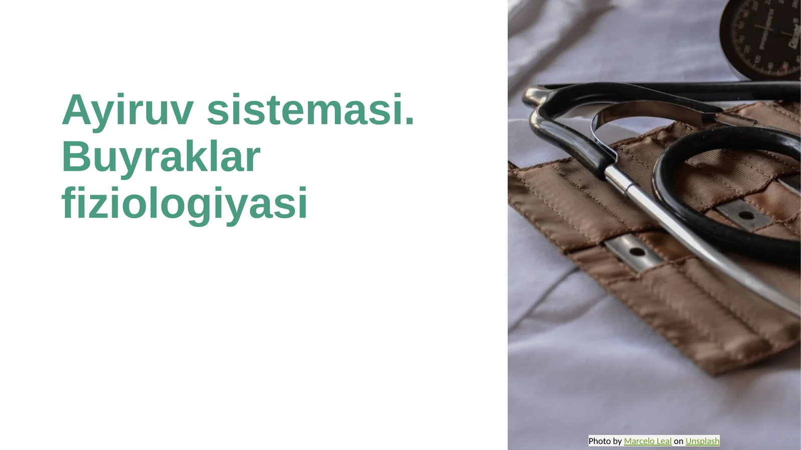 Ayiruv sistemasi. Buyraklar fiziologiyasi
