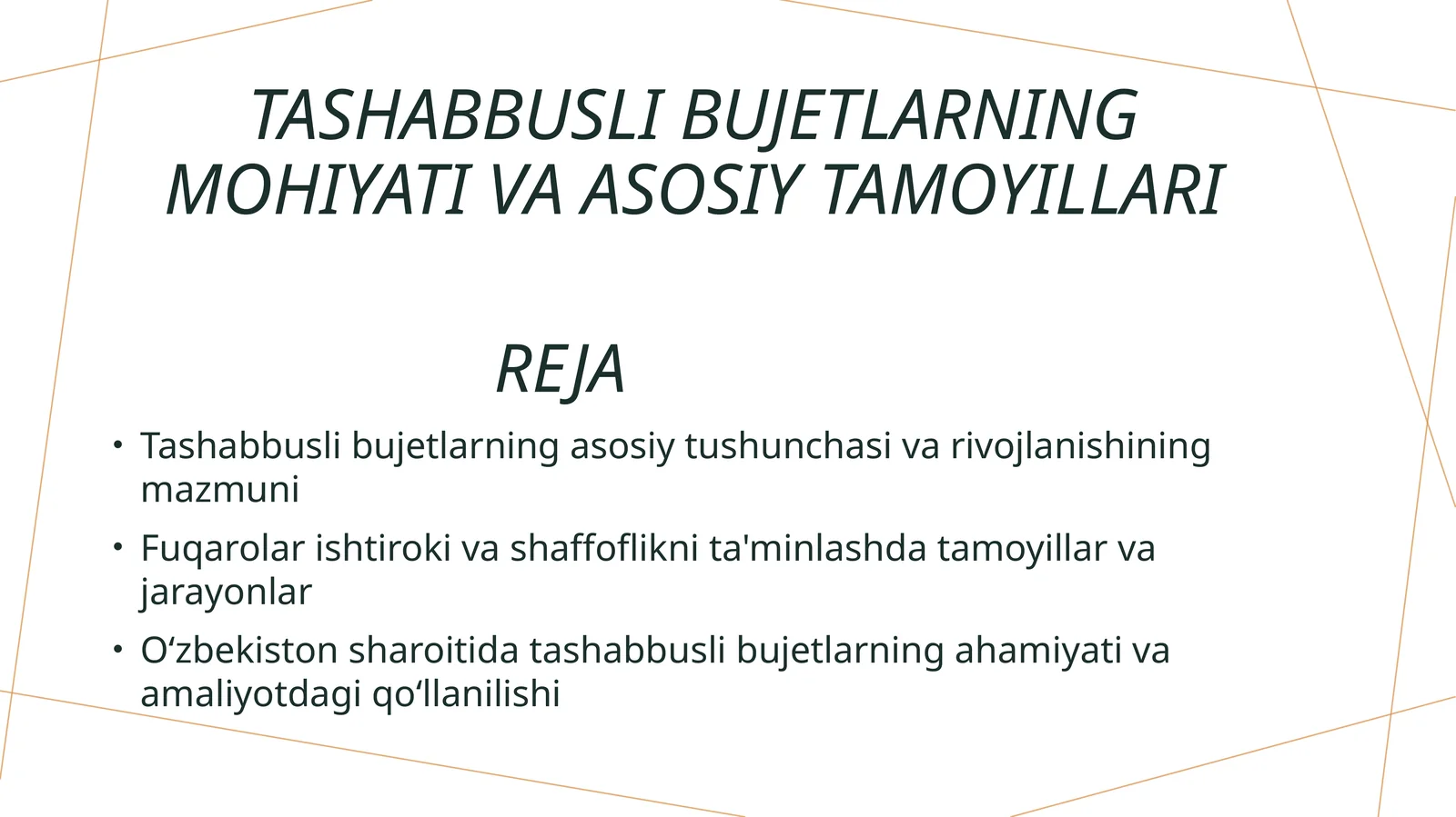 Tashabbusli bujetlarning asosiy tushunchasi va rivojlanishining mazmuni